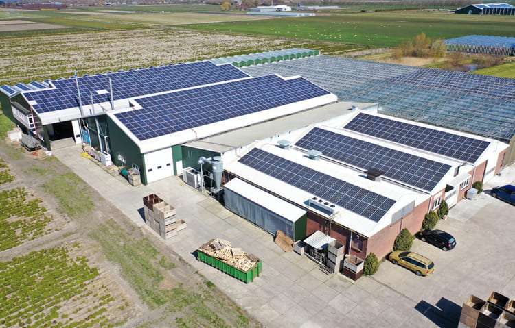 MAM ENERGY - Fotowoltaika, Instalacje Fotowoltaiczne - Dla Firm